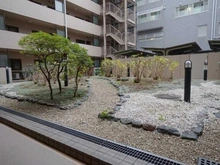 【東京都/杉並区今川】エクセル荻窪西  中庭