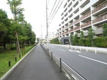 【東京都/杉並区桃井】プレサンスロジェ荻窪桃井 前面道路