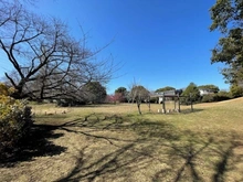 【東京都/杉並区方南】マンション方南町 都立和田堀公園 （現地より約1,260m）