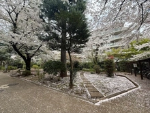 【東京都/中野区白鷺】白鷺ハイム1号棟 敷地内
