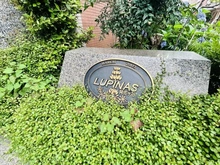 【東京都/杉並区阿佐谷北】ルピナス阿佐ヶ谷 マンション表札