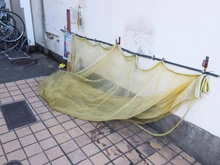 【東京都/目黒区鷹番】学芸大スカイマンション 敷地内