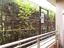 【東京都/世田谷区野沢】アデニウム学芸大学 眺望