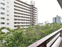 【東京都/練馬区中村北】オリエンタルグリーンコーポラス 眺望