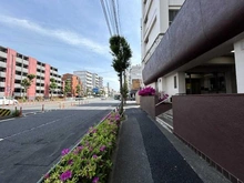 【東京都/練馬区豊玉北】桜台コーポ 前面道路
