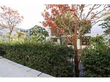 【東京都/練馬区氷川台】コープ野村練馬氷川台 眺望