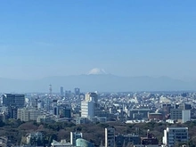 【東京都/港区白金】ザ・パークハウス白金二丁目タワー 眺望
