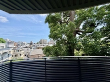 【東京都/目黒区目黒】目黒ロイアルハイツ 眺望