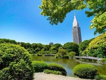【東京都/渋谷区千駄ヶ谷】パークコート神宮北参道ザタワー  新宿御苑（現地より約1,150m）：