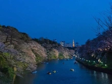 【東京都/渋谷区千駄ヶ谷】パークコート神宮北参道ザタワー 千鳥ヶ淵（現地より約4,500m）：