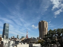 【東京都/港区元麻布】ロイヤル元麻布ガーデン 眺望