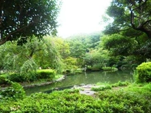 【東京都/港区元麻布】サンビューハイツ元麻布 有栖川記念公園（現地より約500m）：