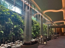 【東京都/港区三田】三田ガーデンヒルズ パークマンション棟 共用部
