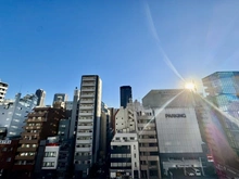 【東京都/港区新橋】新橋プラザビルコアレジデンス 眺望