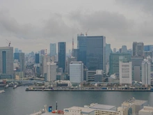 【東京都/中央区晴海】HARUMI FLAG SUN VILLAGE T棟 眺望：ズーム有り