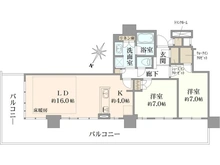 【東京都/江東区有明】ブリリア有明 シティタワー 間取り図