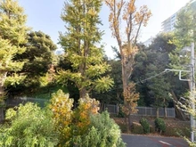 【東京都/港区三田】パークマンション三田綱町ザ・フォレスト 眺望