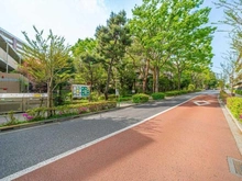【東京都/世田谷区南烏山】芦花公園プレスティージュ 前面道路