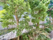 【東京都/港区西麻布】パークハウス麻布霞町 眺望：洋室から