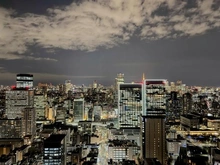 【東京都/港区芝浦】芝浦アイランド グローヴタワー 眺望