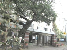 【東京都/港区白金】グレイスコート白金 神応小学校（現地より約220m）