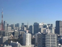 【東京都/港区白金】白金ザ・スカイ EAST棟 眺望：東京タワーとスカイツリーを望めます(天候による)。 ※ズームあり。