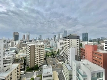 【東京都/港区南麻布】パークホームズ南麻布ザ レジデンス 眺望