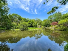 【東京都/港区元麻布】パークナード元麻布  有栖川宮記念公園（現地より約700m）