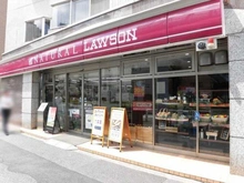 【東京都/港区白金】セザール白金ガーデン ナチュラルローソン白金一丁目店（現地より約410m）