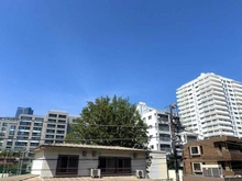 【東京都/港区三田】パークコート三田綱町 眺望：北向き