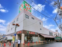 【東京都/世田谷区北烏山】エルザ世田谷 ライフ千歳烏山店（現地より約700m）：