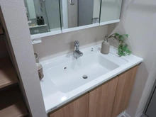 【東京都/調布市布田】調布ヶ丘ハイツ 洗面所