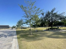 【東京都/世田谷区桜】馬事公苑前シティハウス  JRA馬事公苑（現地より約140m）