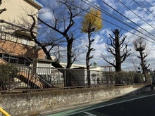 【東京都/世田谷区若林】センターハイツ梅ヶ丘 世田谷区立山崎小学校（現地より約210m）