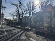 【東京都/世田谷区経堂】東海経堂マンション 烏山川緑道（現地より約190m）