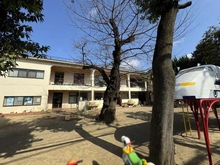 【東京都/杉並区和泉】マンション和泉苑 和泉町幼稚園（現地より約250m）