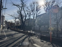 【東京都/世田谷区経堂】東海経堂マンション 烏山川緑道（現地より約190m）