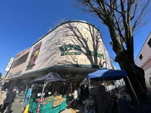【東京都/世田谷区松原】ロアール豪徳寺 ワイズマート梅ヶ丘店（現地より約500m）