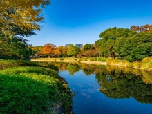 【東京都/新宿区市谷加賀町】ザ・パークハウス市谷加賀町レジデンス 北の丸公園（現地より約2,120m）：