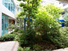【東京都/世田谷区野沢】パークホームズ三軒茶屋シエル・クール 敷地内