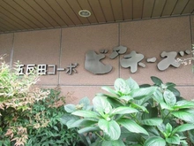 【東京都/品川区西五反田】五反田コーポビアネーズ マンション表札