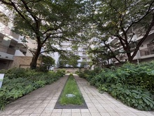 【東京都/品川区中延】ブリリア品川中延 アプローチ