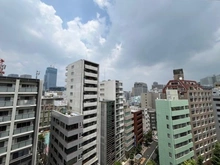 【東京都/中央区新川】ピアース東京インプレイス 眺望