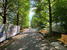 【東京都/中央区日本橋浜町】プレール・ドゥーク日本橋  浜町公園（現地より約100m）