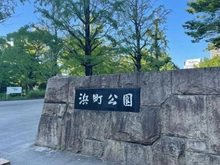 【東京都/中央区日本橋浜町】ファミール日本橋浜町公園 浜町公園（現地より約15m）