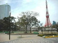 【東京都/港区六本木】ウェリス六本木 芝公園（現地より約1,100m）