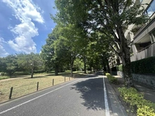 【東京都/世田谷区成城】パークシティ成城 B棟 前面道路