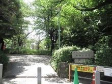 【東京都/目黒区青葉台】ライオンズマンション中目黒 西郷山公園（現地より約480m）：