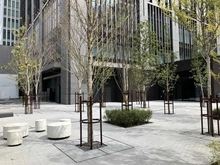 【東京都/港区浜松町】ワールドタワーレジデンス 敷地内