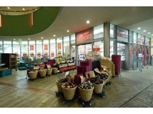 【東京都/文京区本郷】プラウド本郷 成城石井東京ドームラクーア店（現地より約980m）